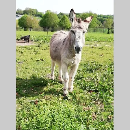 Les Alouettes Nyaraló Leschelle